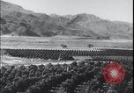 Image Terres agricoles des États-Unis United States USA, 1937, de la seconde 4 séquences d'archives historiques vidéo 65675079780