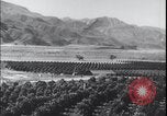 Image Terres agricoles des États-Unis United States USA, 1937, de la seconde 5 séquences d'archives historiques vidéo 65675079780