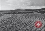 Image Terres agricoles des États-Unis United States USA, 1937, de la seconde 15 séquences d'archives historiques vidéo 65675079780