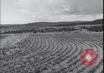 Image Terres agricoles des États-Unis United States USA, 1937, de la seconde 17 séquences d'archives historiques vidéo 65675079780