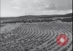 Image Terres agricoles des États-Unis United States USA, 1937, de la seconde 18 séquences d'archives historiques vidéo 65675079780