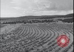 Image Terres agricoles des États-Unis United States USA, 1937, de la seconde 19 séquences d'archives historiques vidéo 65675079780