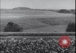 Image Terres agricoles des États-Unis United States USA, 1937, de la seconde 20 séquences d'archives historiques vidéo 65675079780