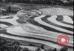 Image Terres agricoles des États-Unis United States USA, 1937, de la seconde 26 séquences d'archives historiques vidéo 65675079780