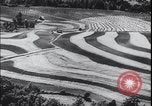 Image Terres agricoles des États-Unis United States USA, 1937, de la seconde 27 séquences d'archives historiques vidéo 65675079780