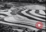 Image Terres agricoles des États-Unis United States USA, 1937, de la seconde 28 séquences d'archives historiques vidéo 65675079780