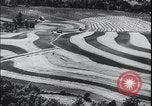 Image Terres agricoles des États-Unis United States USA, 1937, de la seconde 30 séquences d'archives historiques vidéo 65675079780