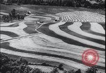 Image Terres agricoles des États-Unis United States USA, 1937, de la seconde 31 séquences d'archives historiques vidéo 65675079780