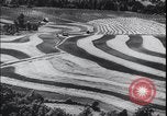 Image Terres agricoles des États-Unis United States USA, 1937, de la seconde 32 séquences d'archives historiques vidéo 65675079780