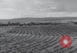 Image of United States farmland United States USA, 1937, second 13 stock footage video 65675079780