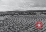 Image of United States farmland United States USA, 1937, second 14 stock footage video 65675079780
