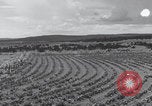 Image of United States farmland United States USA, 1937, second 15 stock footage video 65675079780