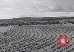 Image of United States farmland United States USA, 1937, second 17 stock footage video 65675079780