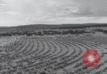 Image of United States farmland United States USA, 1937, second 18 stock footage video 65675079780