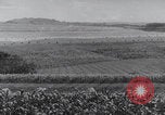 Image of United States farmland United States USA, 1937, second 19 stock footage video 65675079780