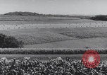 Image of United States farmland United States USA, 1937, second 21 stock footage video 65675079780