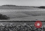Image of United States farmland United States USA, 1937, second 22 stock footage video 65675079780