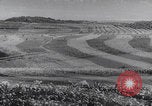 Image of United States farmland United States USA, 1937, second 24 stock footage video 65675079780