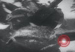 Image of USA Army Air Corps winter snow flying United States USA, 1936, second 43 stock footage video 65675079792