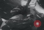 Image of USA Army Air Corps winter snow flying United States USA, 1936, second 44 stock footage video 65675079792