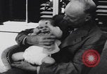 Image of Eisenhower grandchildren New York City USA, 1952, second 19 stock footage video 65675079799