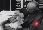 Image of Eisenhower grandchildren New York City USA, 1952, second 20 stock footage video 65675079799