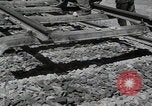 Image of Iran railroad construction Iran, 1960, second 17 stock footage video 65675079805