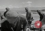 Image of Iran railroad construction Iran, 1960, second 35 stock footage video 65675079805