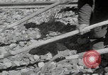 Image of Iran railroad construction Iran, 1960, second 38 stock footage video 65675079805