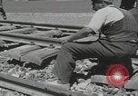 Image of Iran railroad construction Iran, 1960, second 56 stock footage video 65675079805