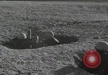Image of Iranian Army weapons demonstration Iran, 1960, second 25 stock footage video 65675079809