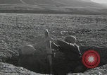 Image of Iranian Army weapons demonstration Iran, 1960, second 30 stock footage video 65675079809