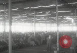 Image of Aswan High Dam groundbreaking Egypt, 1960, second 27 stock footage video 65675079817