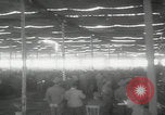 Image of Aswan High Dam groundbreaking Egypt, 1960, second 30 stock footage video 65675079817