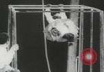 Image of animals circus performance Berlin Germany, 1960, second 10 stock footage video 65675079819
