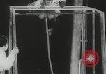 Image of animals circus performance Berlin Germany, 1960, second 11 stock footage video 65675079819