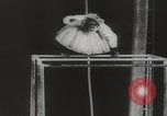 Image of animals circus performance Berlin Germany, 1960, second 12 stock footage video 65675079819
