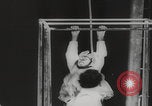 Image of animals circus performance Berlin Germany, 1960, second 16 stock footage video 65675079819