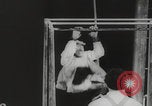 Image of animals circus performance Berlin Germany, 1960, second 17 stock footage video 65675079819