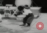 Image of animals circus performance Berlin Germany, 1960, second 28 stock footage video 65675079819