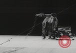 Image of animals circus performance Berlin Germany, 1960, second 30 stock footage video 65675079819