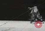 Image of animals circus performance Berlin Germany, 1960, second 31 stock footage video 65675079819