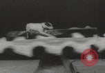 Image of animals circus performance Berlin Germany, 1960, second 42 stock footage video 65675079819