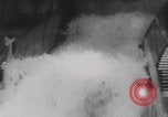 Image of animals circus performance Berlin Germany, 1960, second 45 stock footage video 65675079819