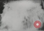 Image of animals circus performance Berlin Germany, 1960, second 46 stock footage video 65675079819