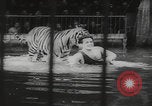 Image of animals circus performance Berlin Germany, 1960, second 50 stock footage video 65675079819