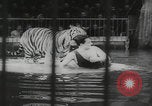 Image of animals circus performance Berlin Germany, 1960, second 51 stock footage video 65675079819