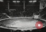 Image of animals circus performance Berlin Germany, 1960, second 57 stock footage video 65675079819