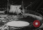 Image of animals circus performance Berlin Germany, 1960, second 58 stock footage video 65675079819