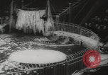Image of animals circus performance Berlin Germany, 1960, second 59 stock footage video 65675079819